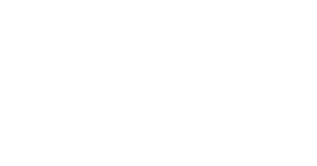 American Stroke Association (AHA) logo